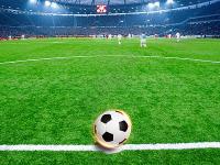 尼奥尔 VS 奥尔良